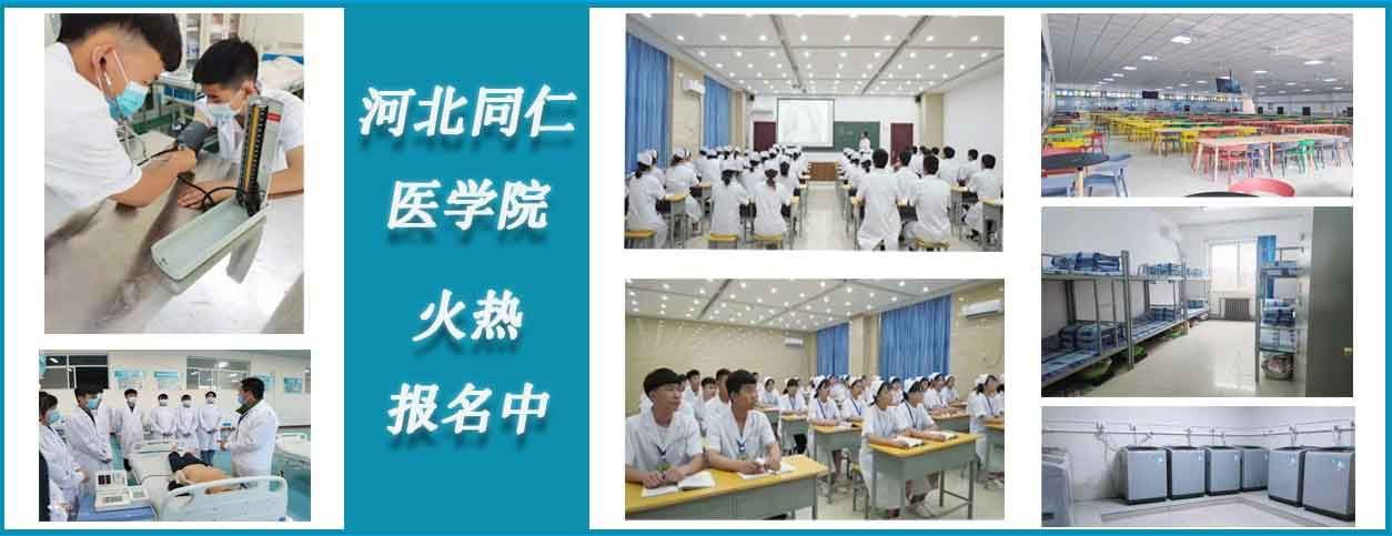 遵循爱游戏ayx登录入口爱游戏新手怎