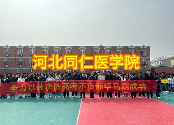 继续了解爱游戏ayx登录入口爱游戏最