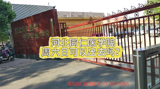 校内每班配备专职班主任