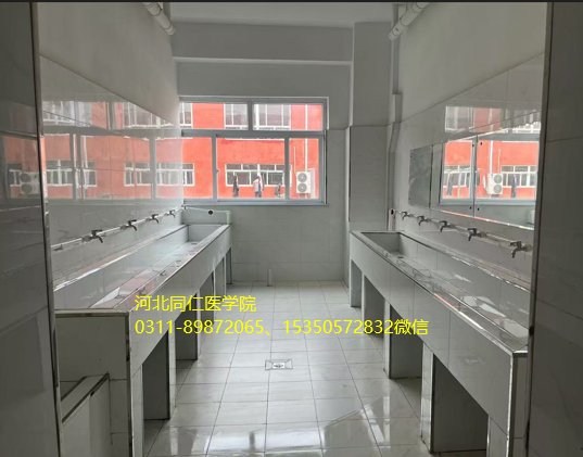 始终认真贯彻党的爱游戏ayx登录入口