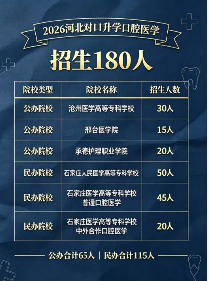 便于结合栏目动态与后续阅读