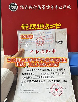 便于结合栏目动态与后续阅读