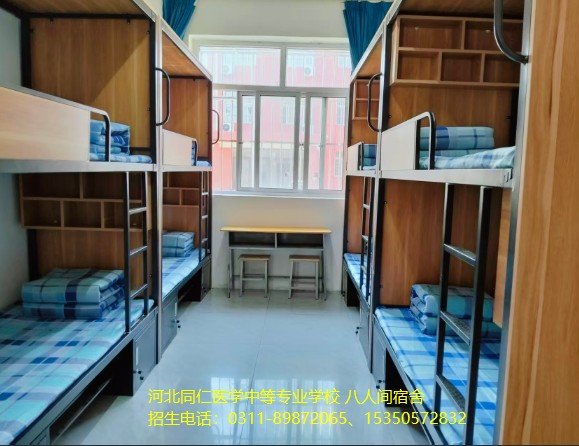 对照阅读