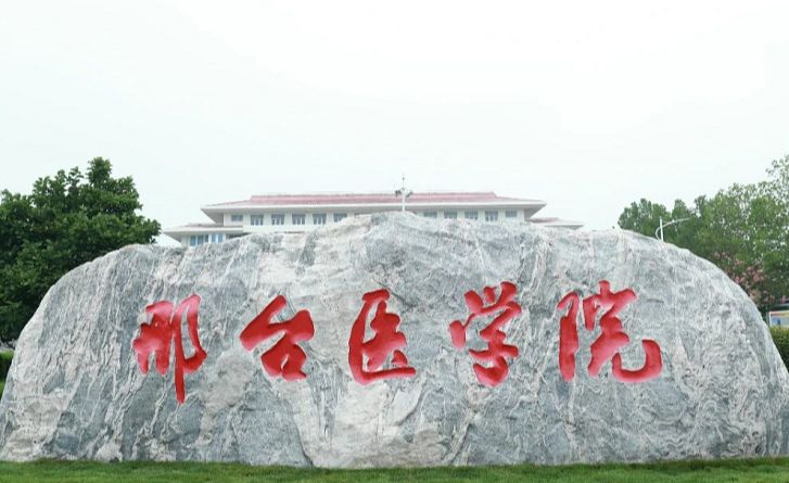 避免被站外镜像带偏